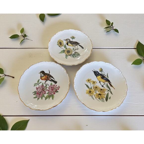 Schuman Arzberg Germany Porcelain Bird Plates Set of 3 Bavaria E & R - Picture 1 of 8